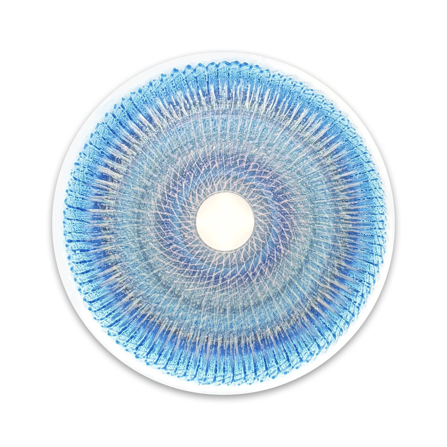 Aria Paraiba 18 |  38" Disc