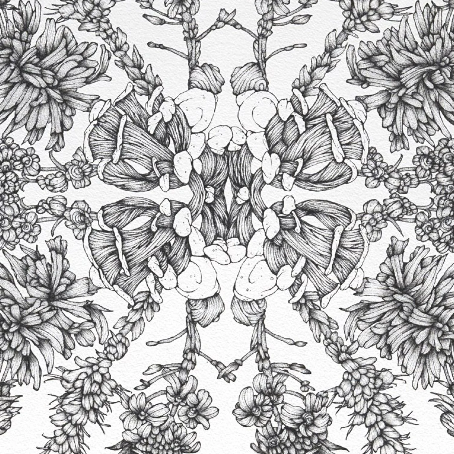 Whit Boucher Web.016.jpeg