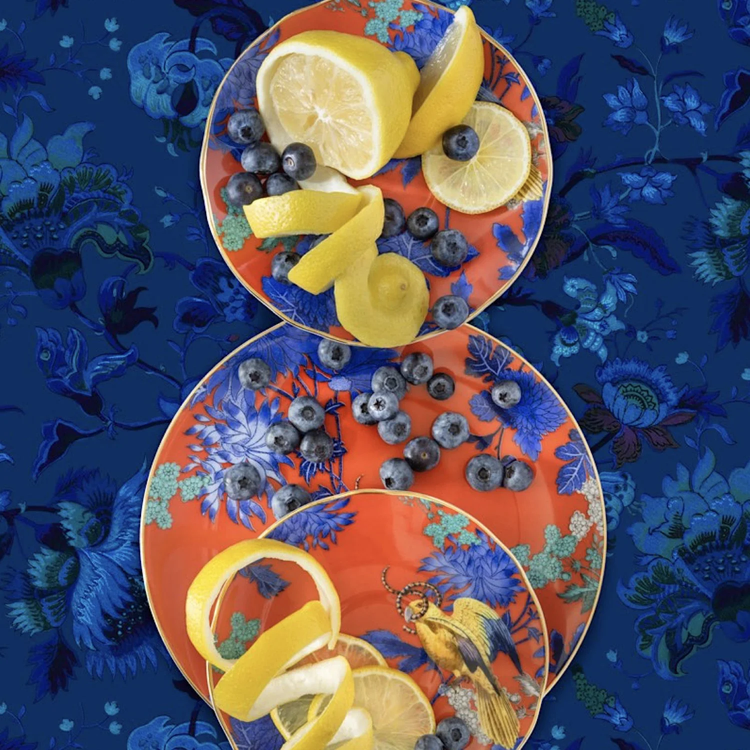 JP Terlizzi-Web.051.jpeg