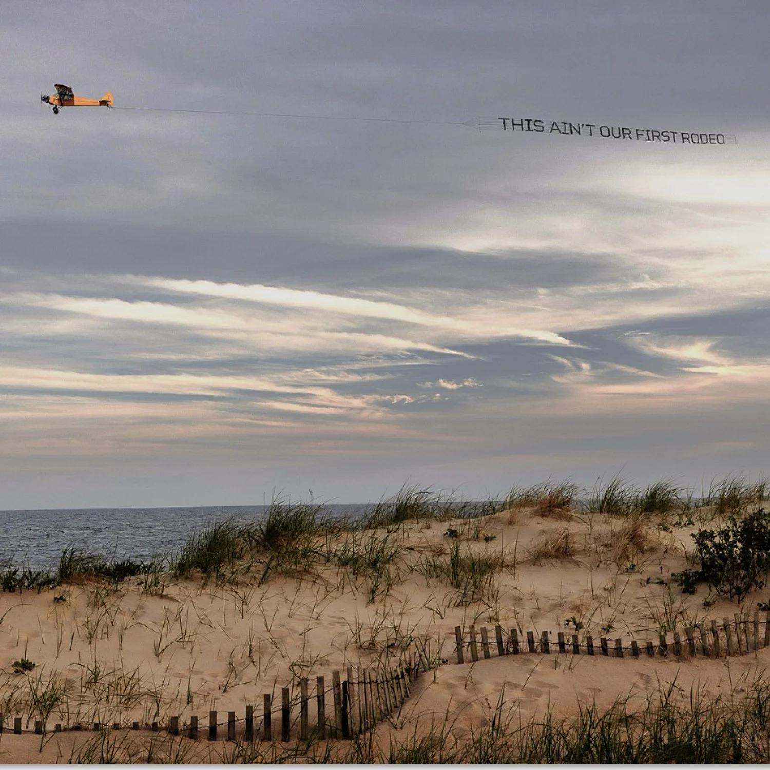 Debranne Cingari.018.jpeg