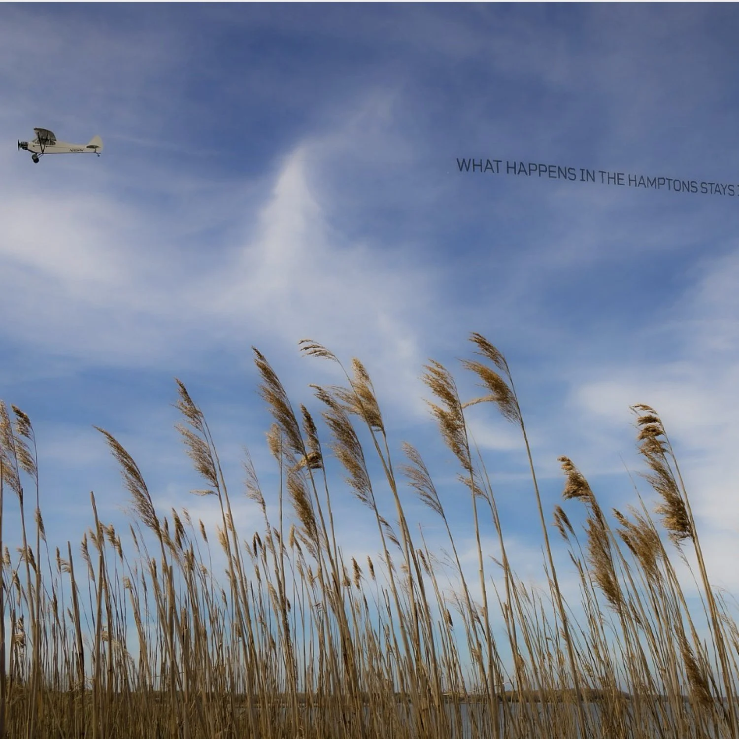 Debranne Cingari.033.jpeg