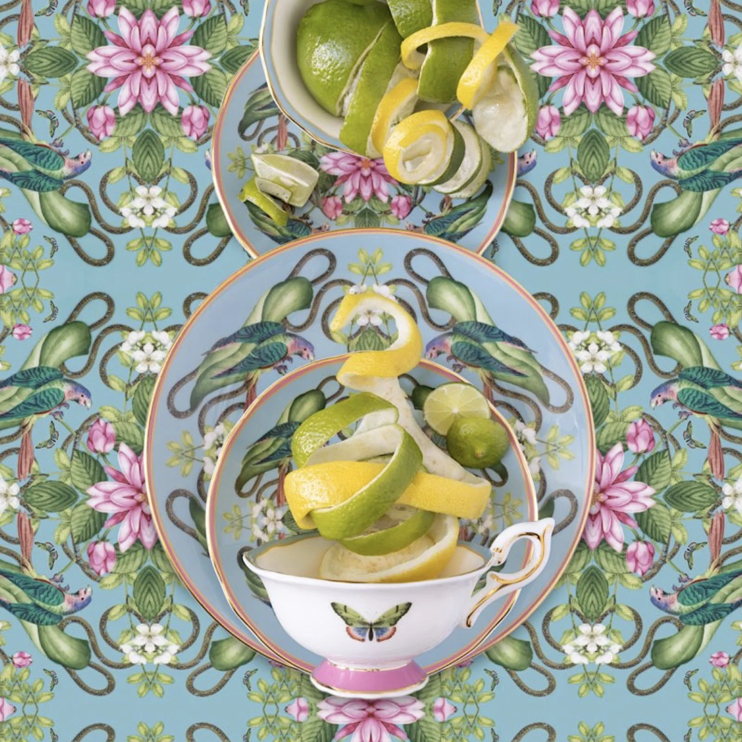 JP Terlizzi-Web.058.jpeg