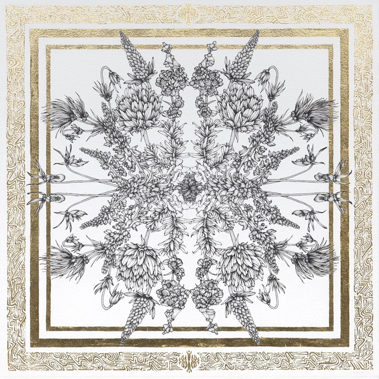 Whit Boucher Web.007.jpeg