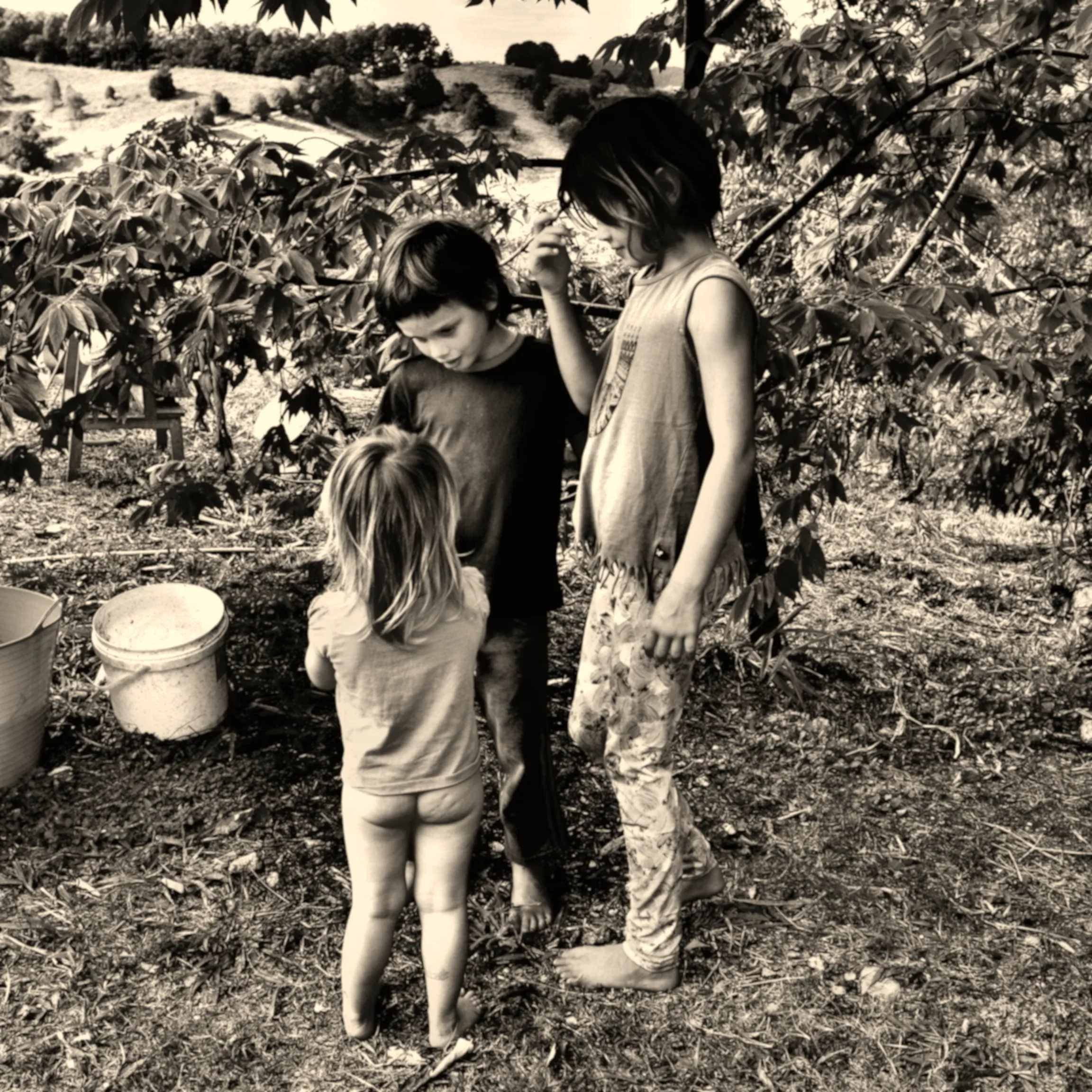 Hill Spirits #16.JPG