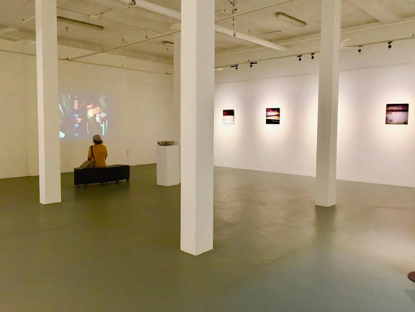 Home Video - Bondi Gallery instal shot 2017.jpg