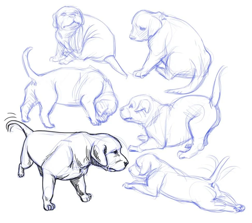puppies.JPG
