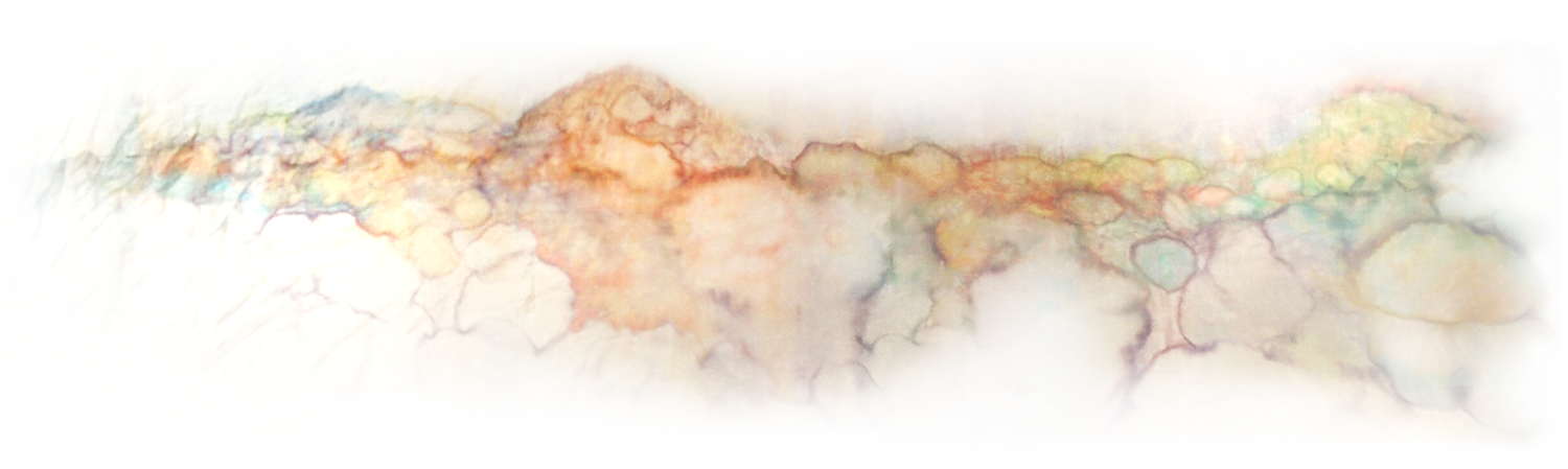 IMG_20160313_190728-(1).png