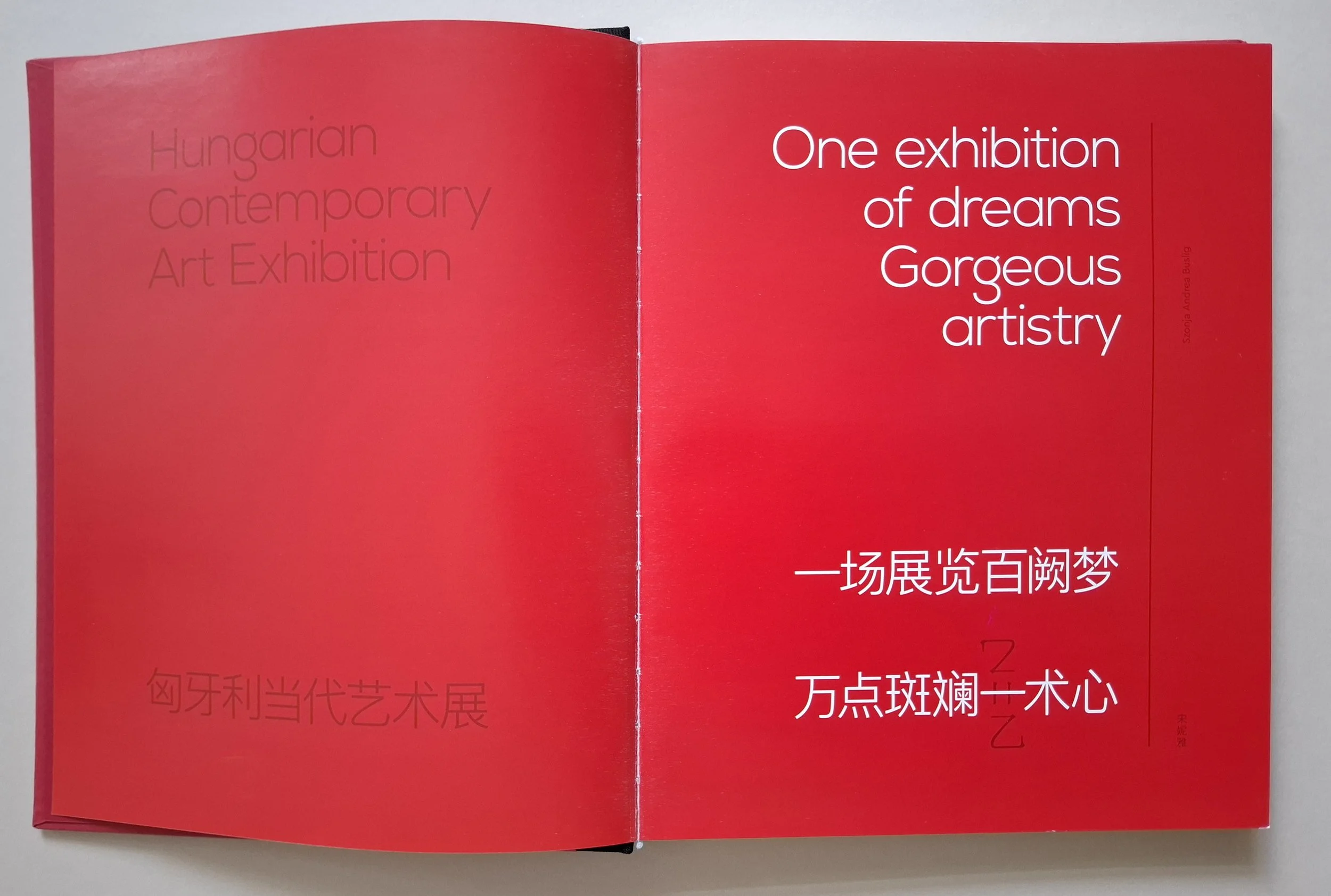 Hungarian Contemporary Art Exhibitions_in-China_2018_5-stations-exhibitions_Catalogue_hard-cover_288-pages_3.jpg