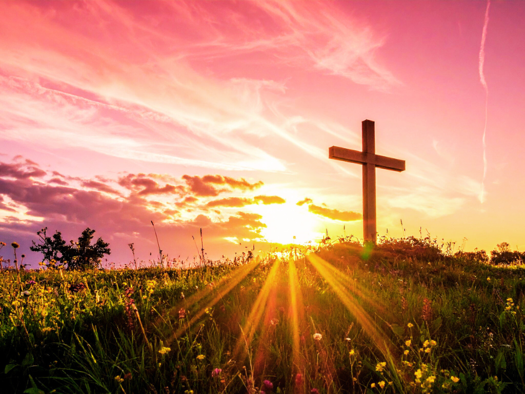 Untitled (Presentation (43)).png