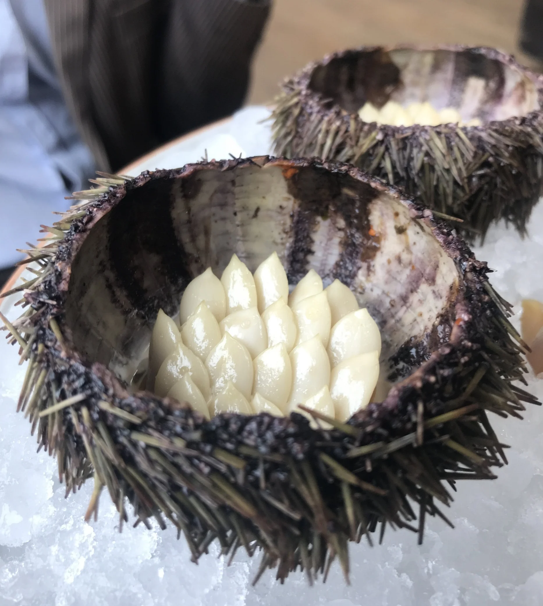 Sea urchin with peeled pumpkin seeds covering rose infused cream at Noma.