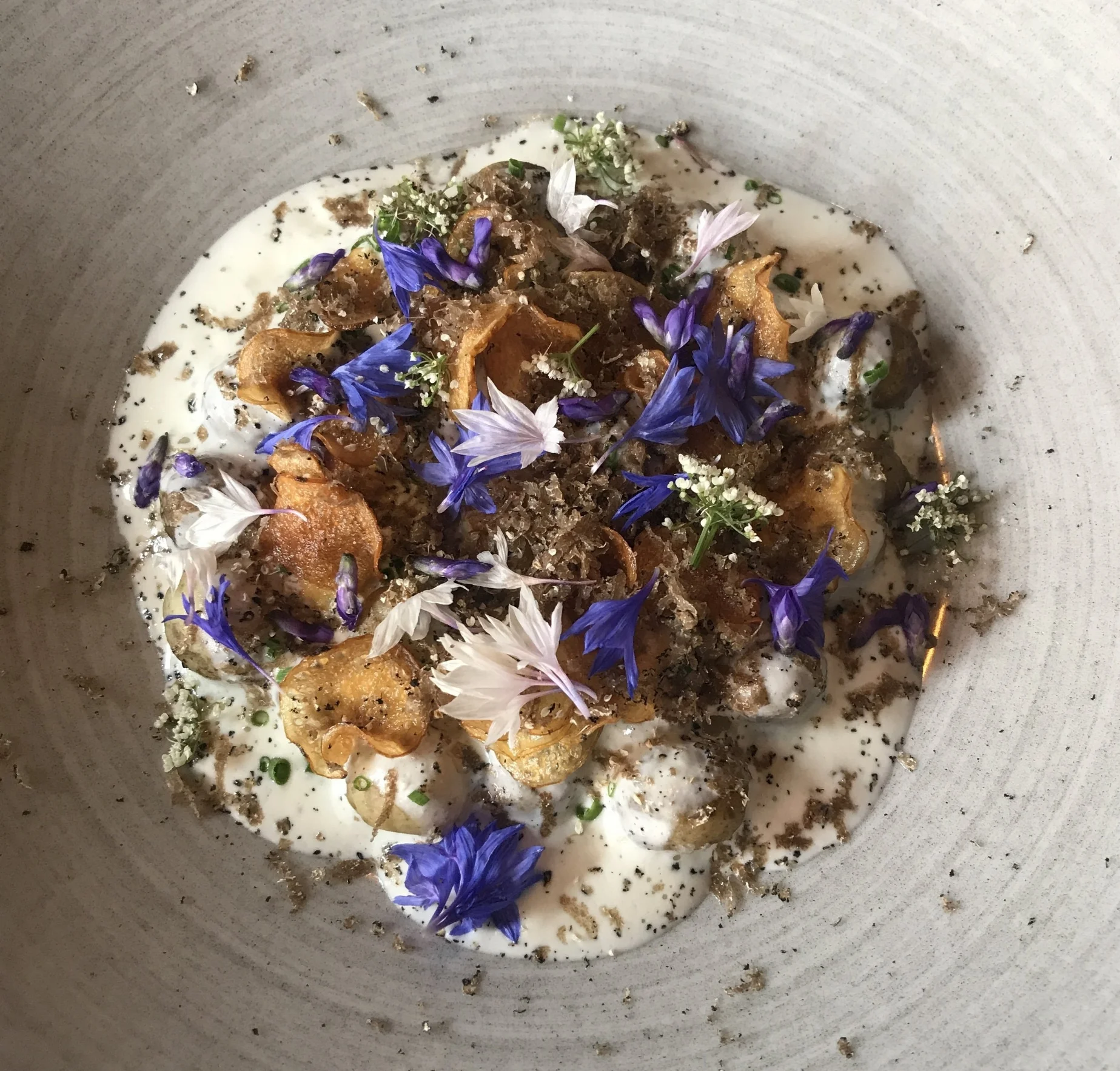 Potatoes and herbs at Tango, Stavanger