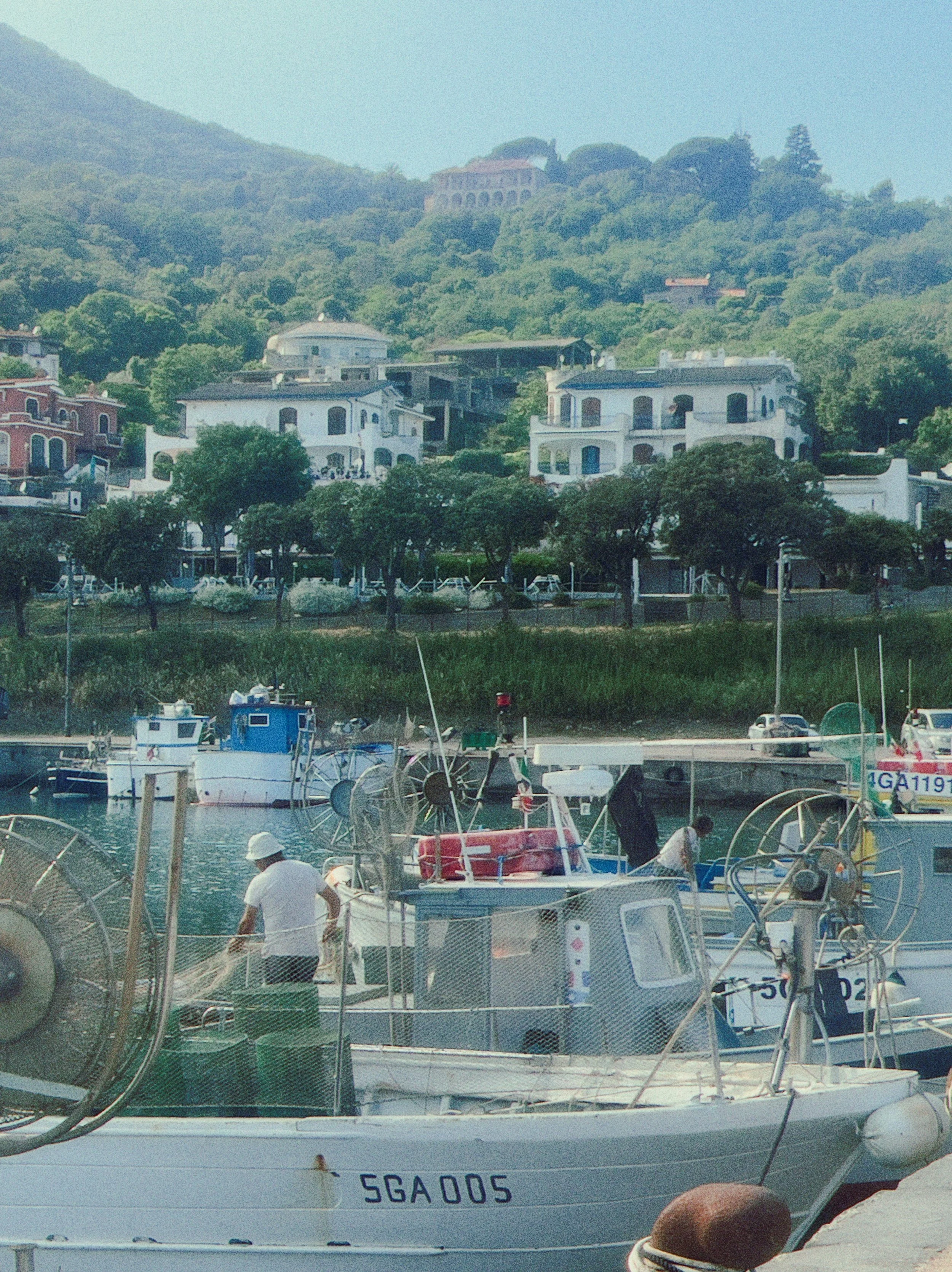 IMG_2711.JPG