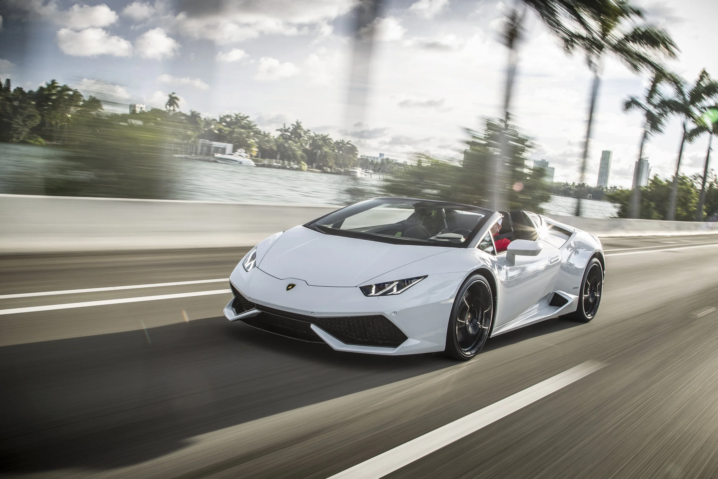 LP610_4_WHITE_030.JPG