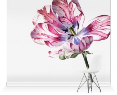 Totally gorgeous mural from @surfaceview .