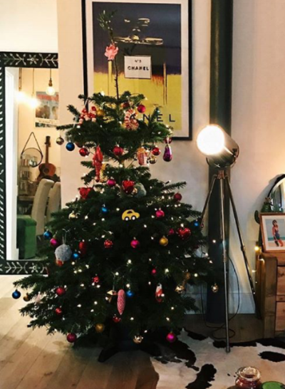 Non trad decs give this tree the edge @meganellerby