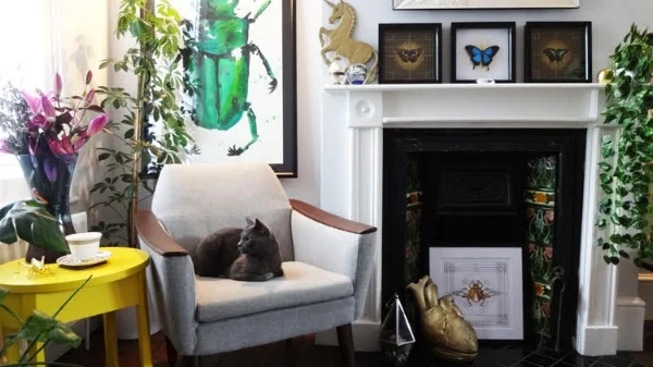 Yoshi on the chair totally unaware that he is about to be joined by a pug.