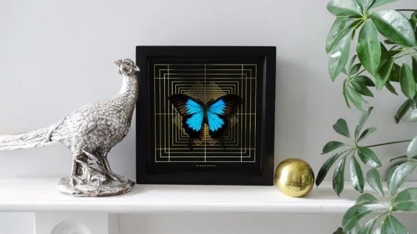Totally gorgeous butterfly prints.