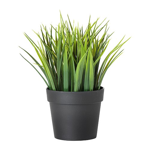 Fejka Pot Plant from IKEA £3