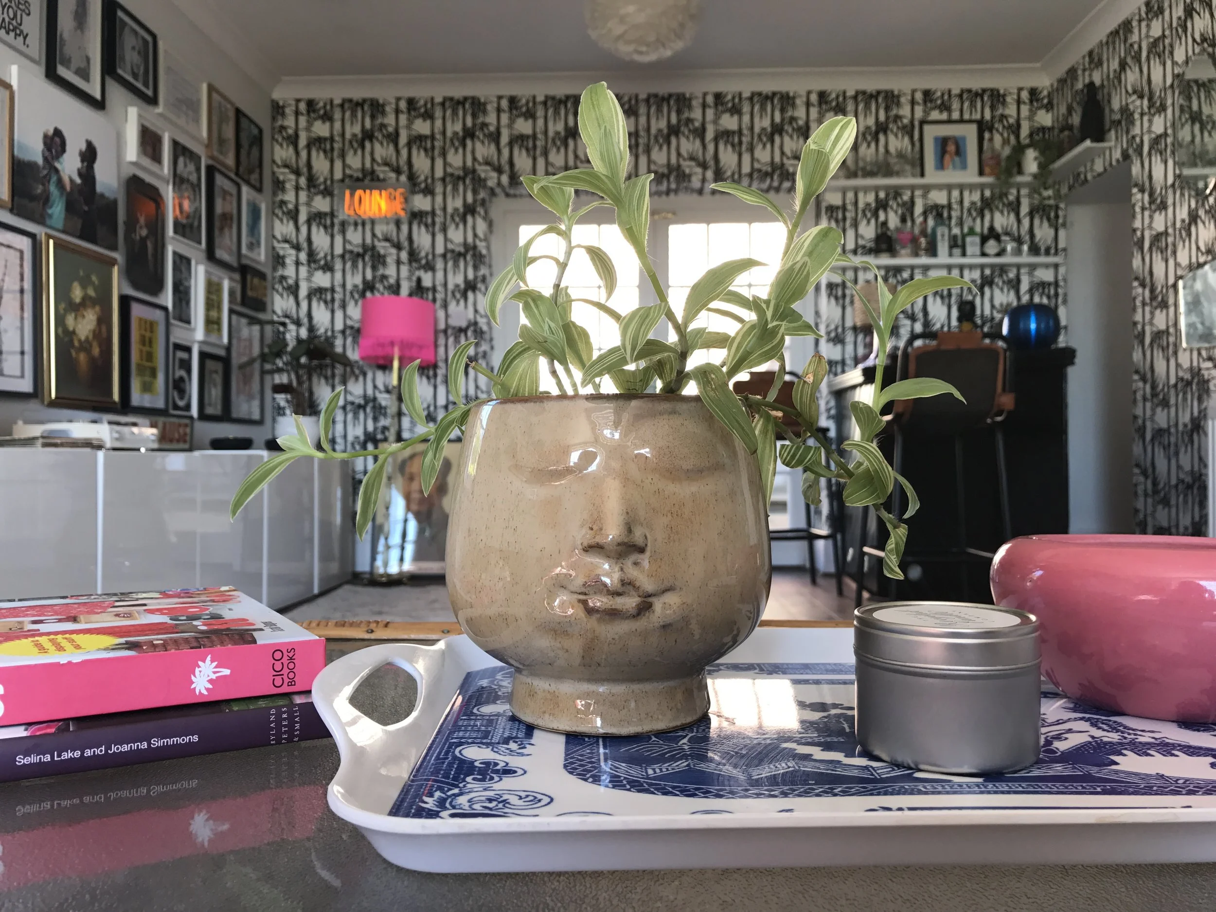 Dee Camping gave me this plant and it's still going. For now. Plant pot from Violet & Thistle .