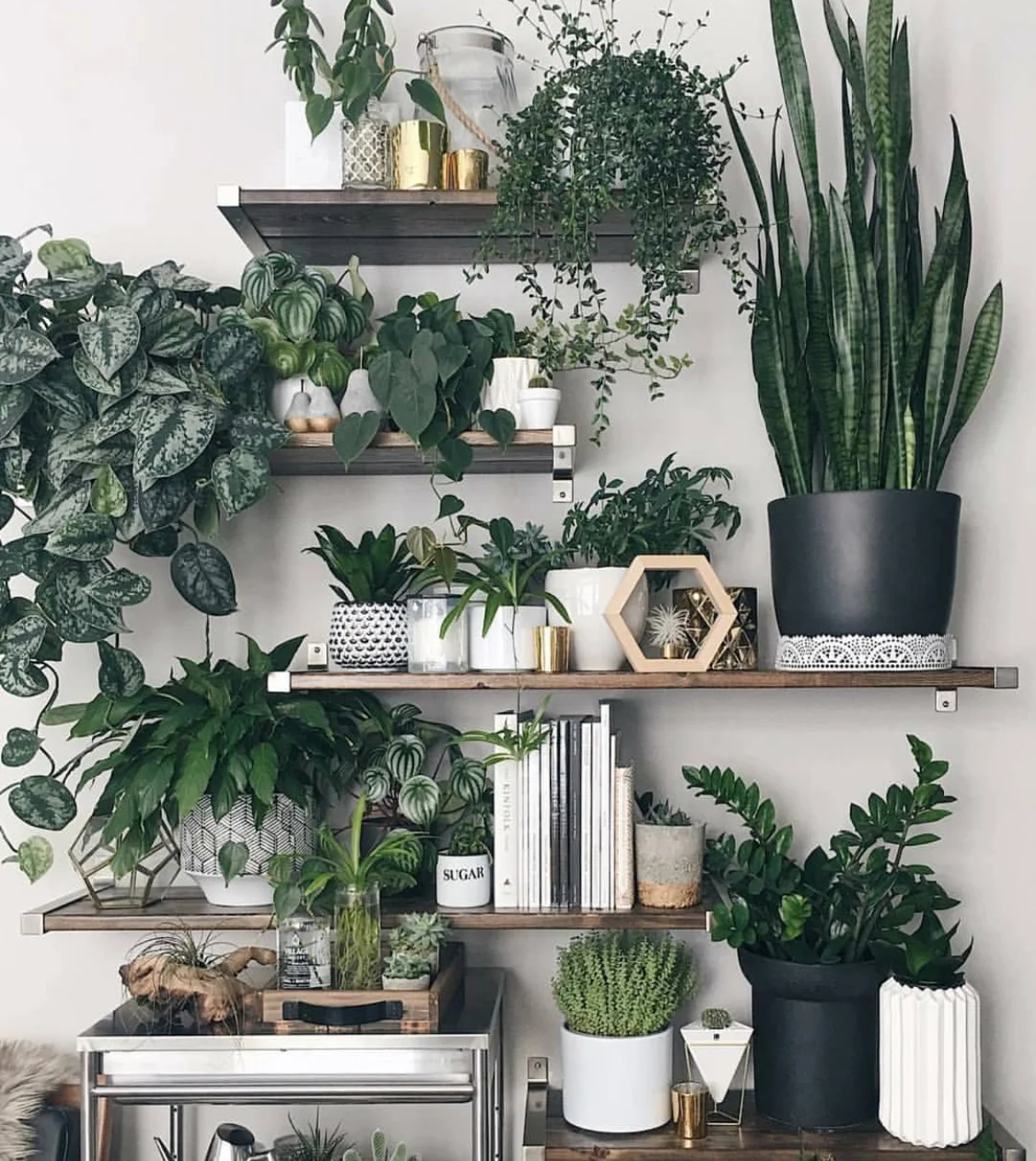 A perfect plant situation. Photograph via Instagram @melissamlo .
