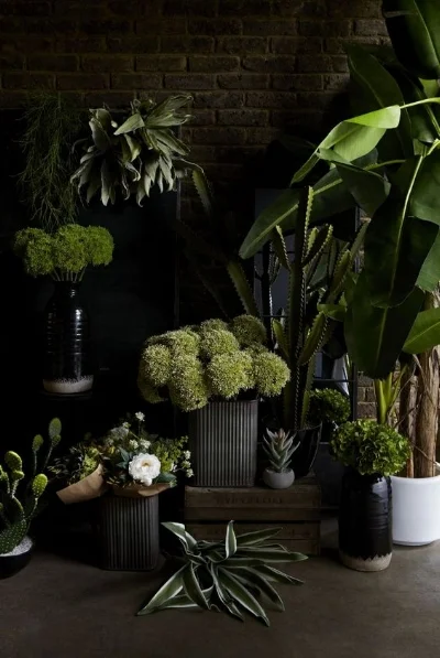 Image credit: Abigail Ahern