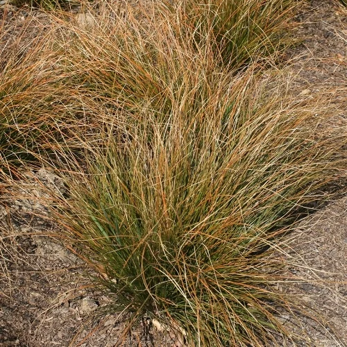 pl0000000688.jpg