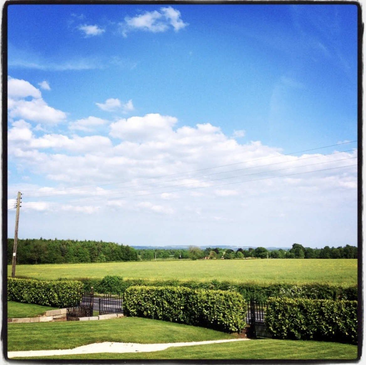 Why we bought our house. Check out the early Insta filter.