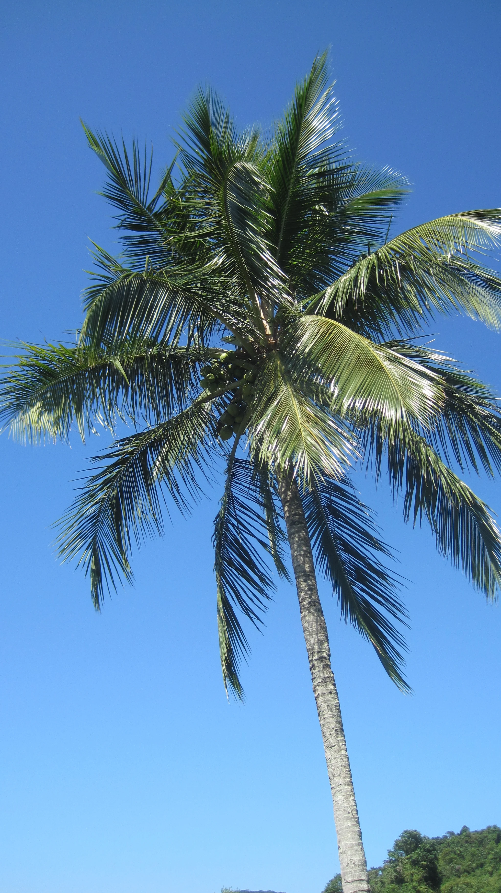 Ramp up your fitness for your Summer Holiday 