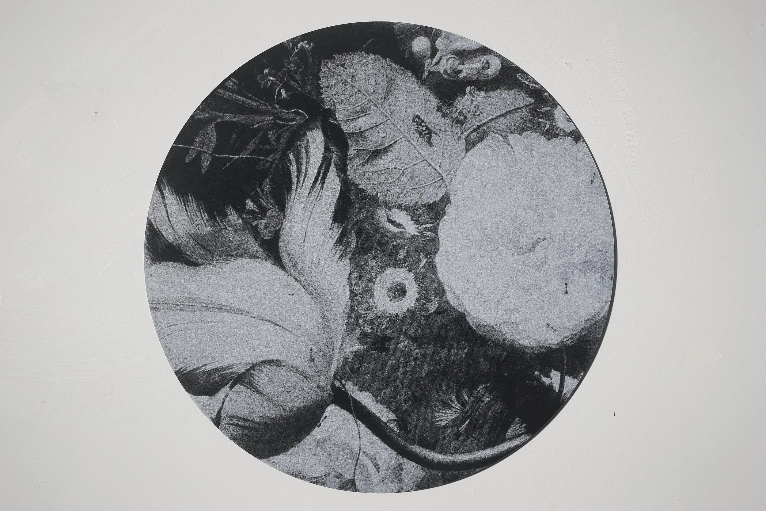 Untitled; 40cm D; hand-printed silkscreen. white ink on industrial black acrylic sheeting; 2025.