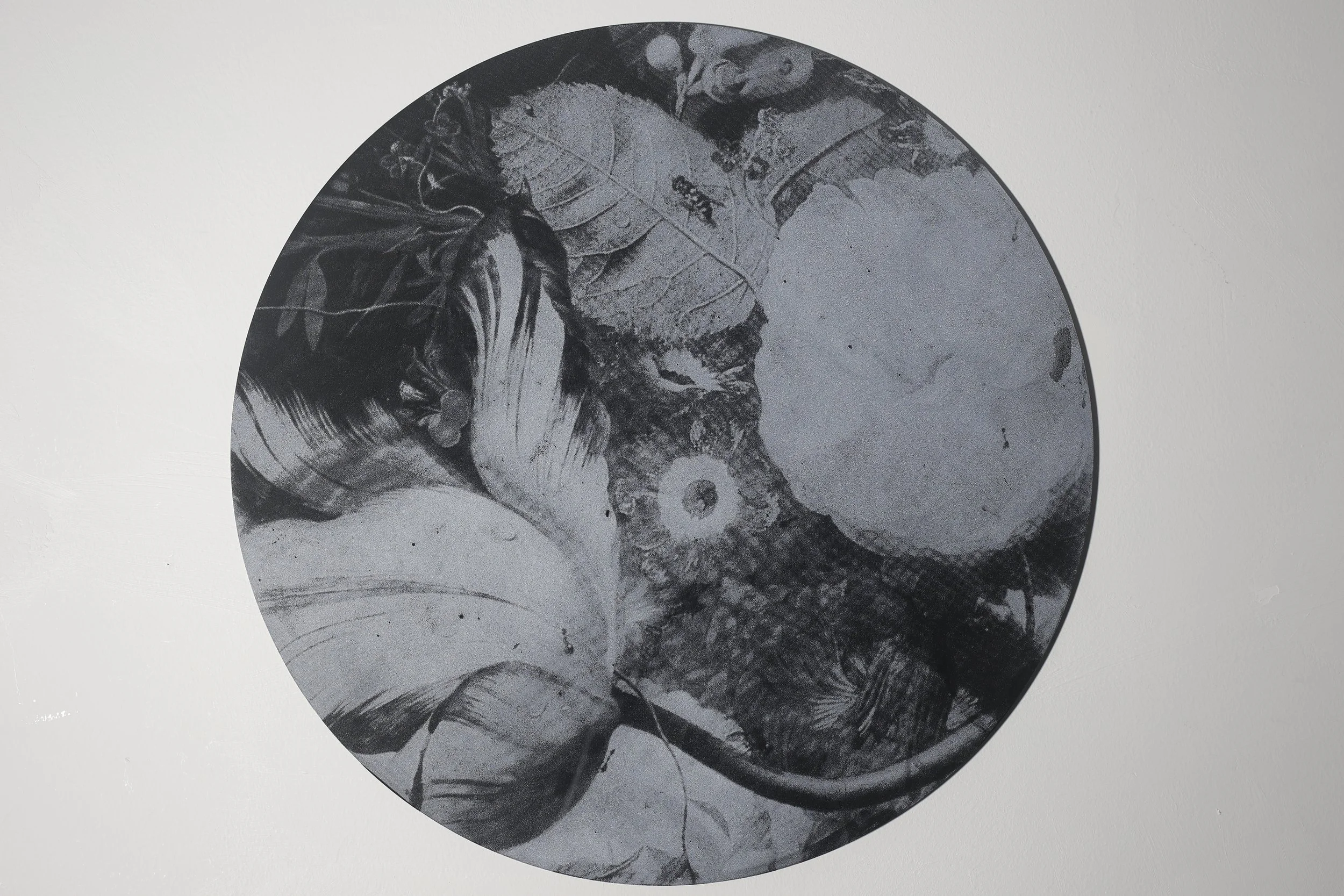 Untitled; 40cm D; hand-printed silkscreen. white ink on industrial black acrylic sheeting; 2025