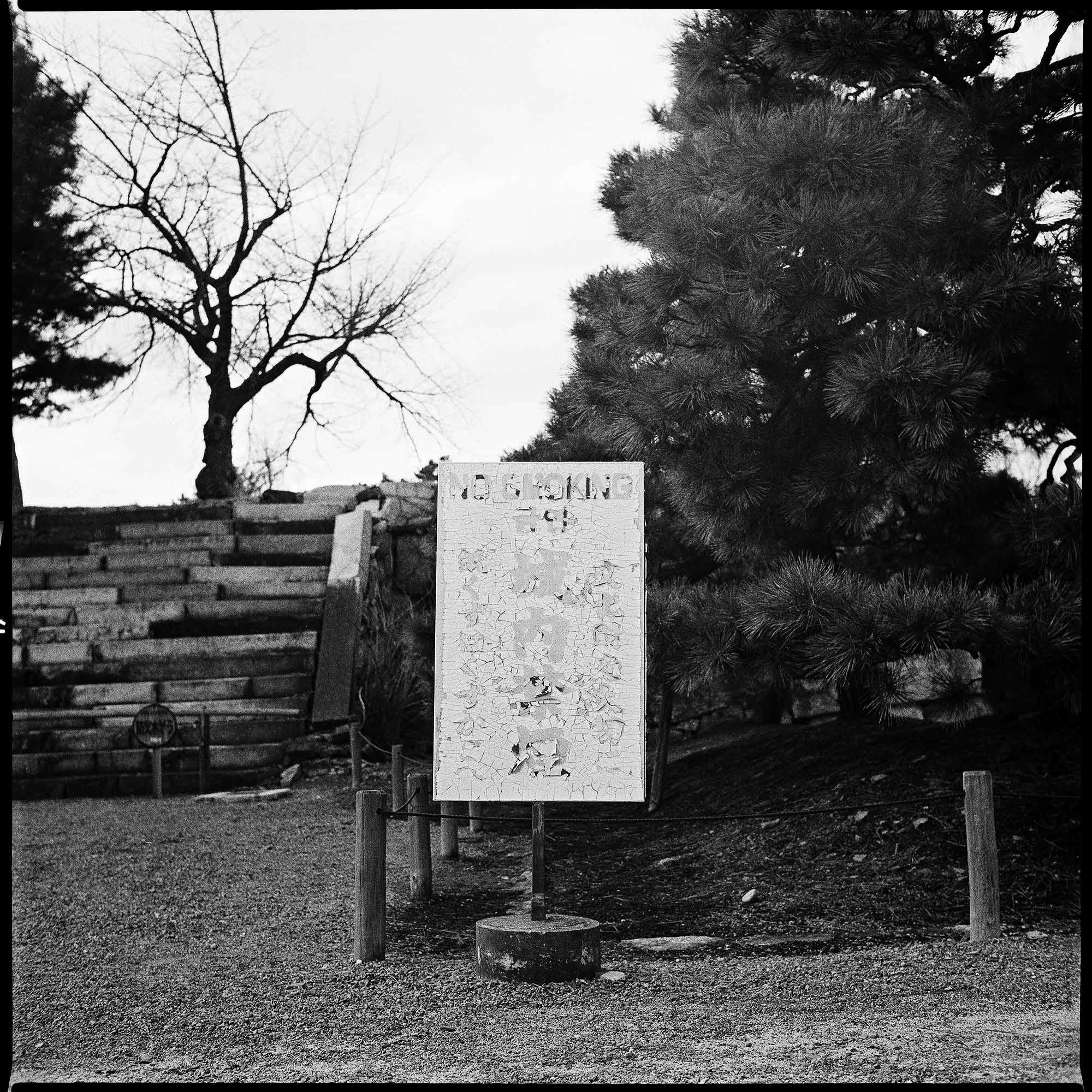 UNTITLED-(92).jpg