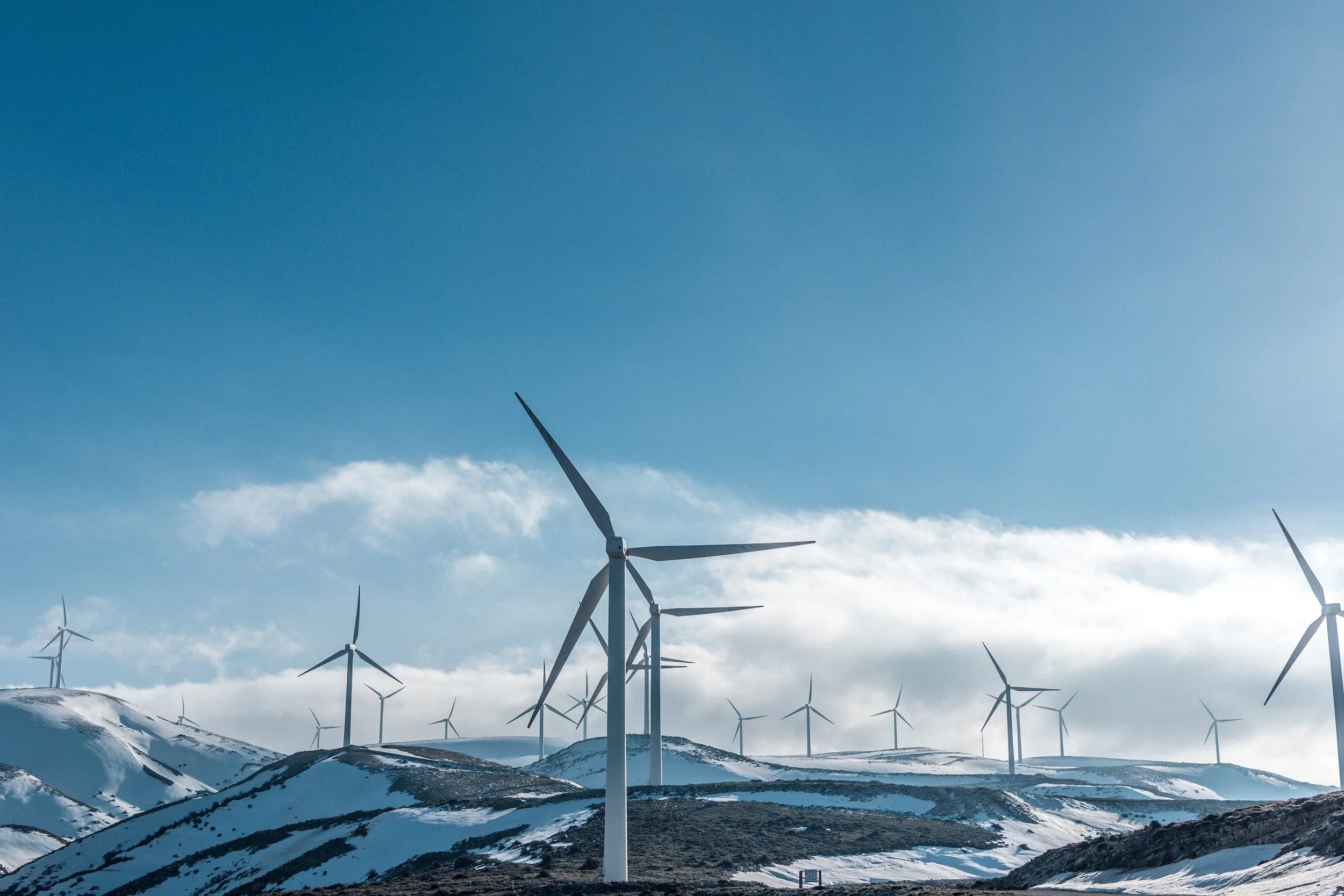What happened to Renewables in 2022?
