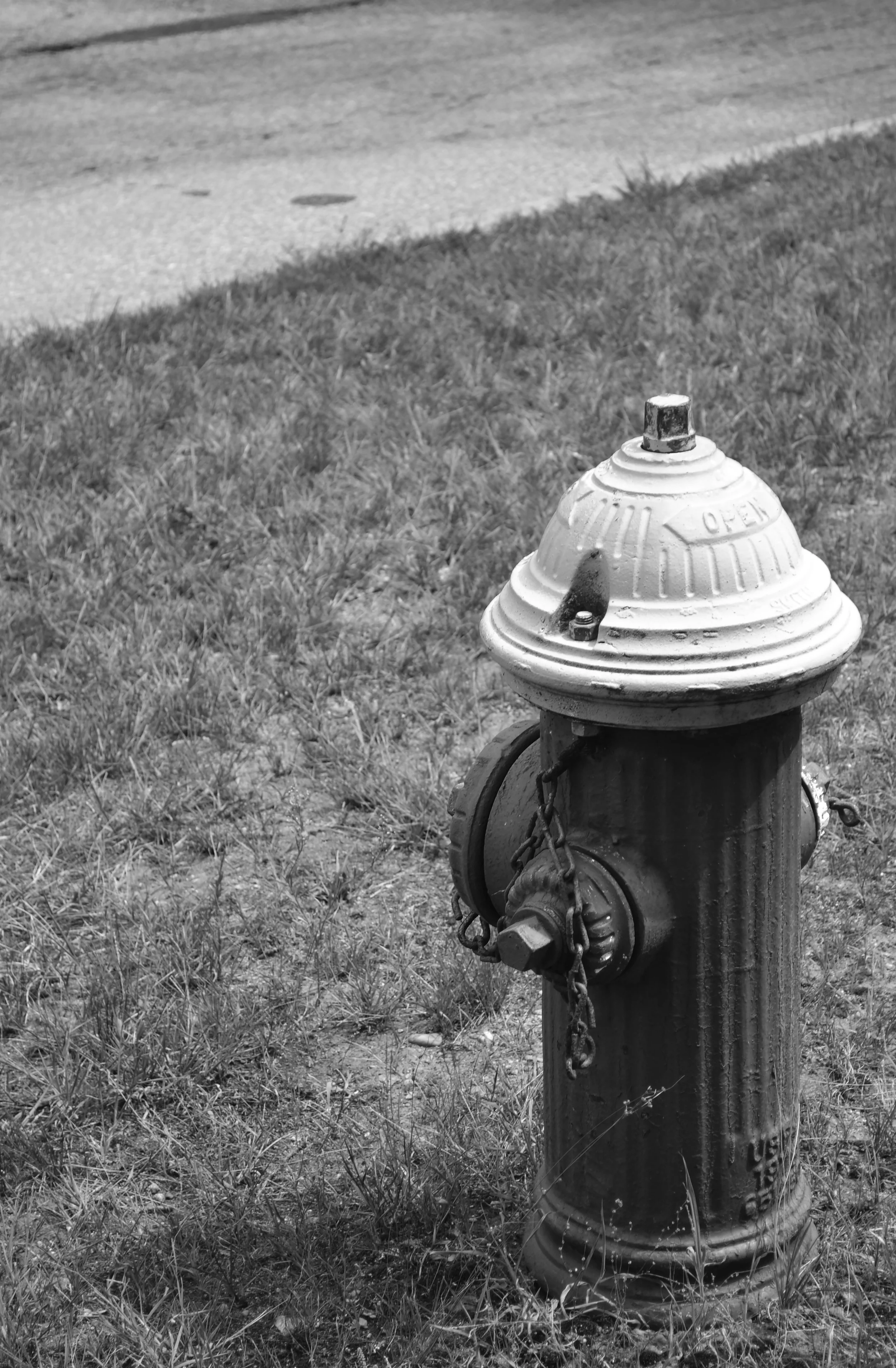 DSC_0167bw.jpg