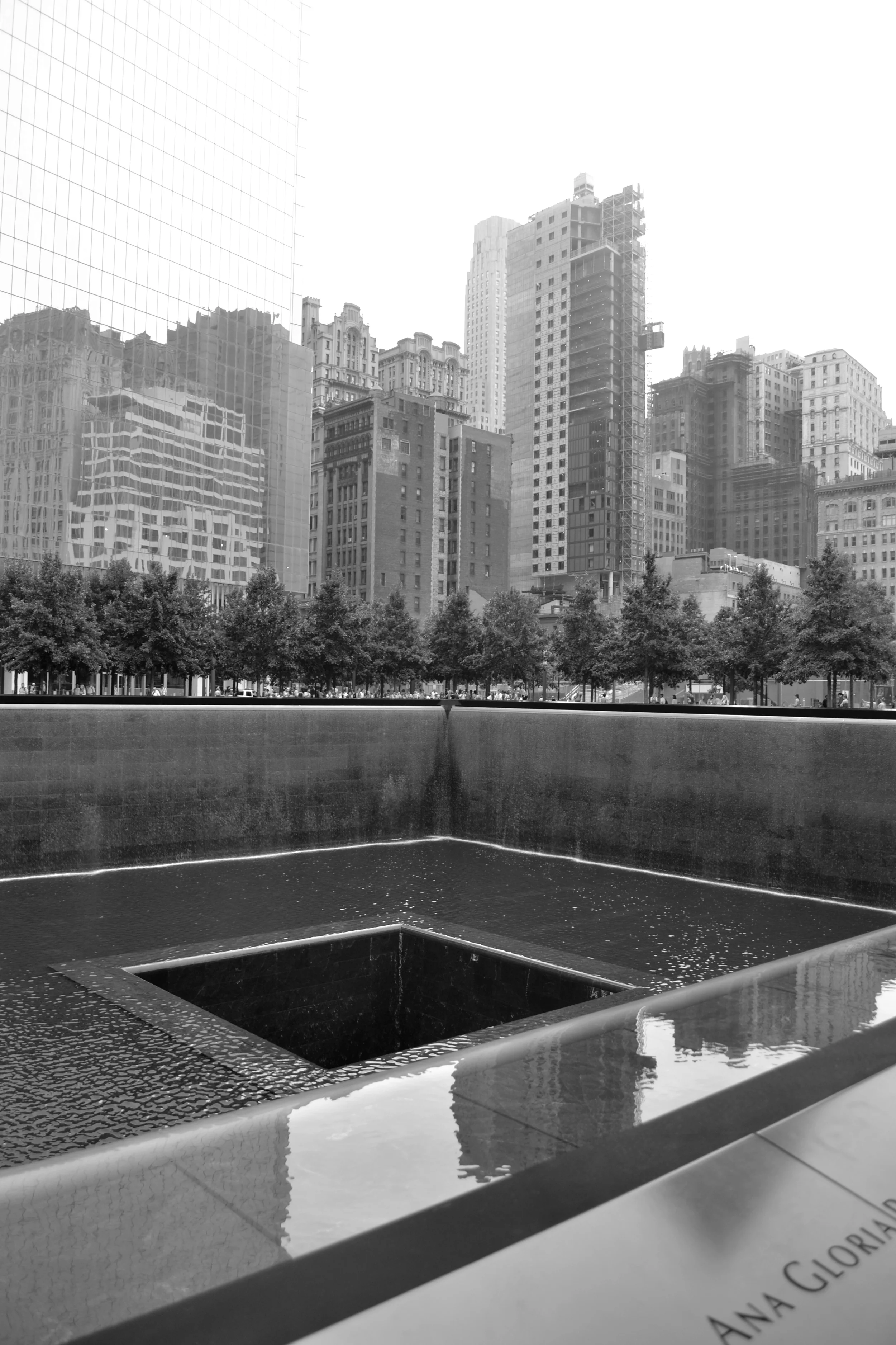 DSC_0317bw.jpg