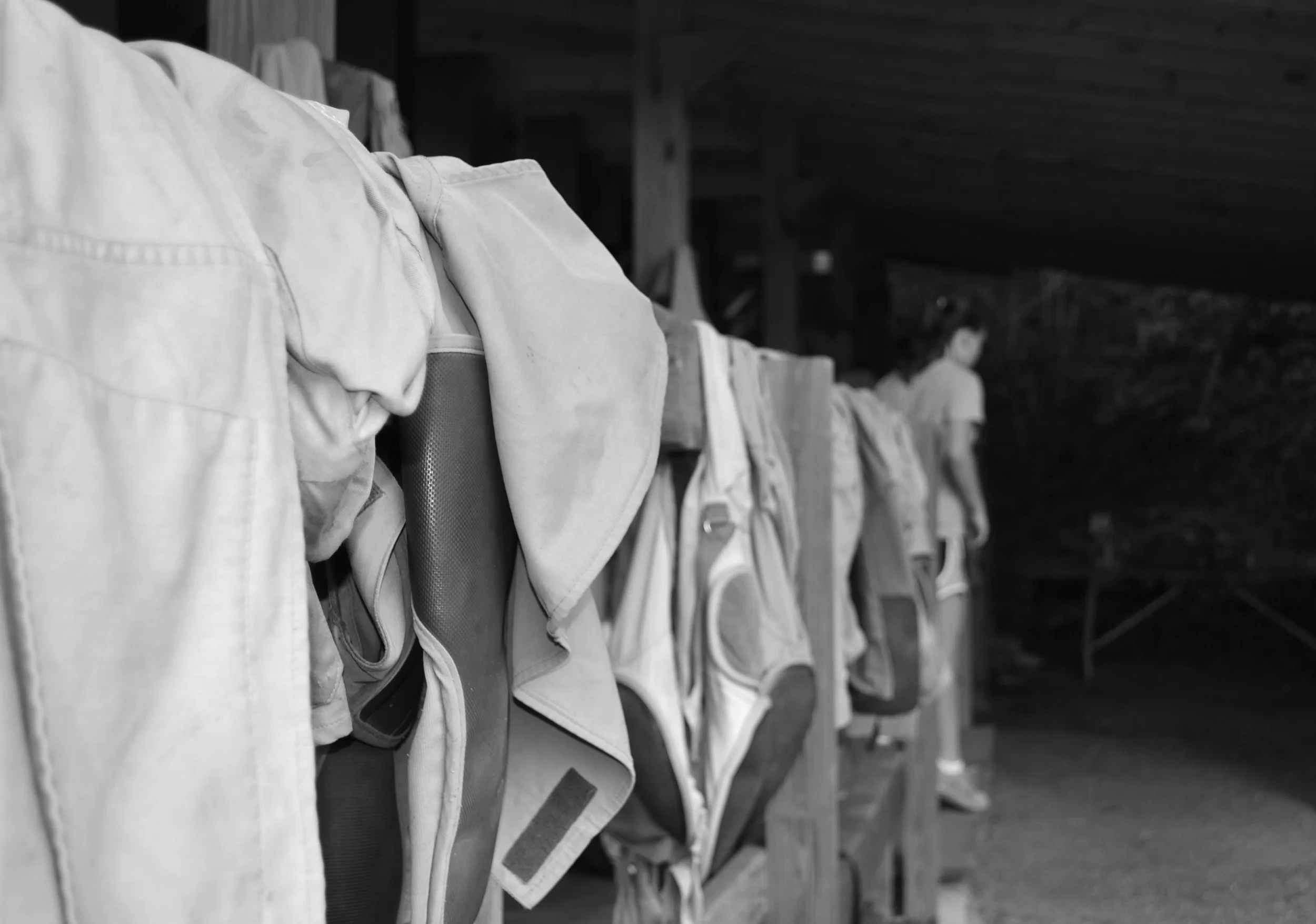 DSC_0349bw.jpg
