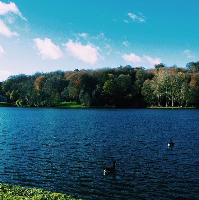 Photo-a-day #21 - Beaut views across the lake
&bull;
&bull;
&bull;
#stourhead #nationaltrust #lake #winter #walks #water #ducks #nature #ipreview @preview.app