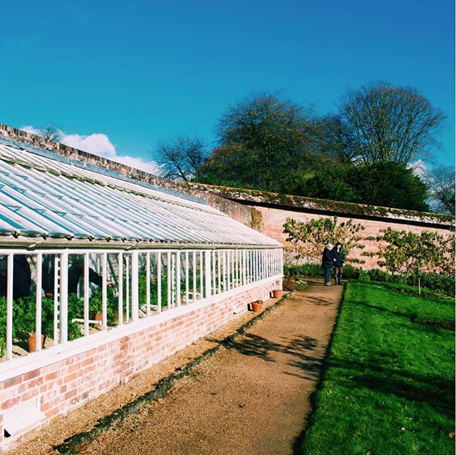 Photo-a-day #25 - Blue skies, green grass and a greenhouse full of beautiful flowers
&bull;
&bull;
&bull;
#photoaday #stourhead #bluesky #greengreengrassofhome #nature #ipreview @preview.app