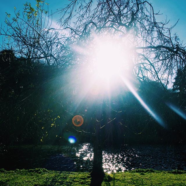 Photo-a-day #20 - A blinding sun on a perfect winters day
&bull;
&bull;
&bull;
#photoaday #winter #sun #stourhead #nationaltrust #wiltshire #home #walks #ipreview @preview.app