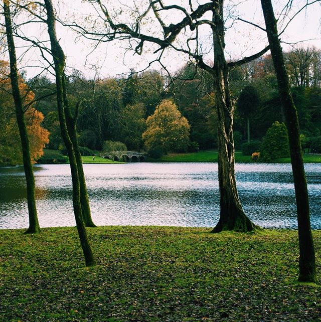 Photo-a-day #18 - Winter trees with no leaves give you great views of the lake at Stourhead
&bull;
&bull;
&bull;
#photoaday #stourhead #nationaltrust #winter #lake #ipreview @preview.app