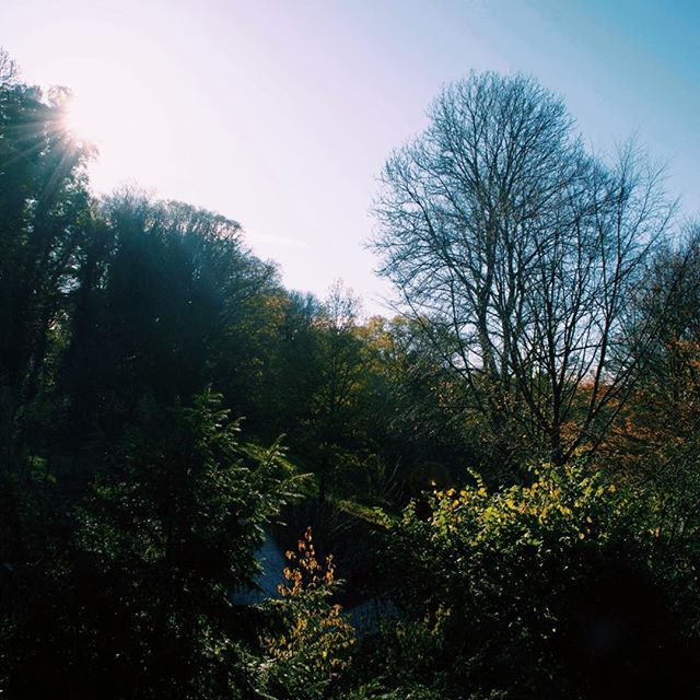 Photo-a-day #17 - Winter walks in the countryside are the one
&bull;
&bull;
&bull;
#photoaday #stourhead #winter #countryside #nationaltrust #ipreview @preview.app