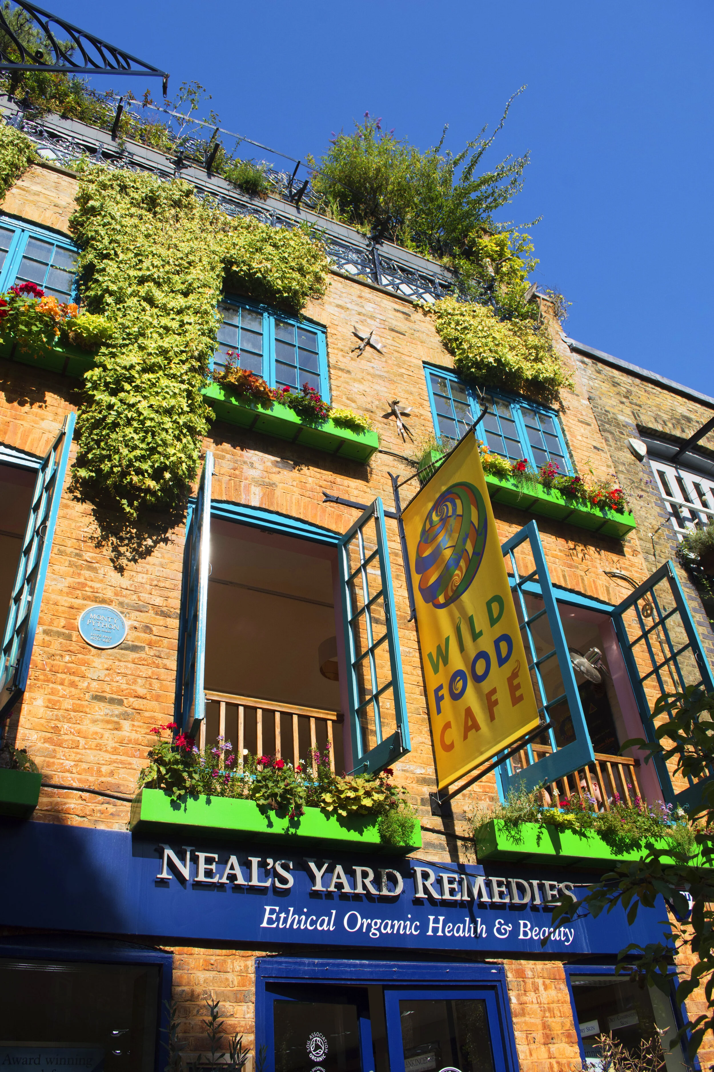 DSC_9353 copy copy.jpg