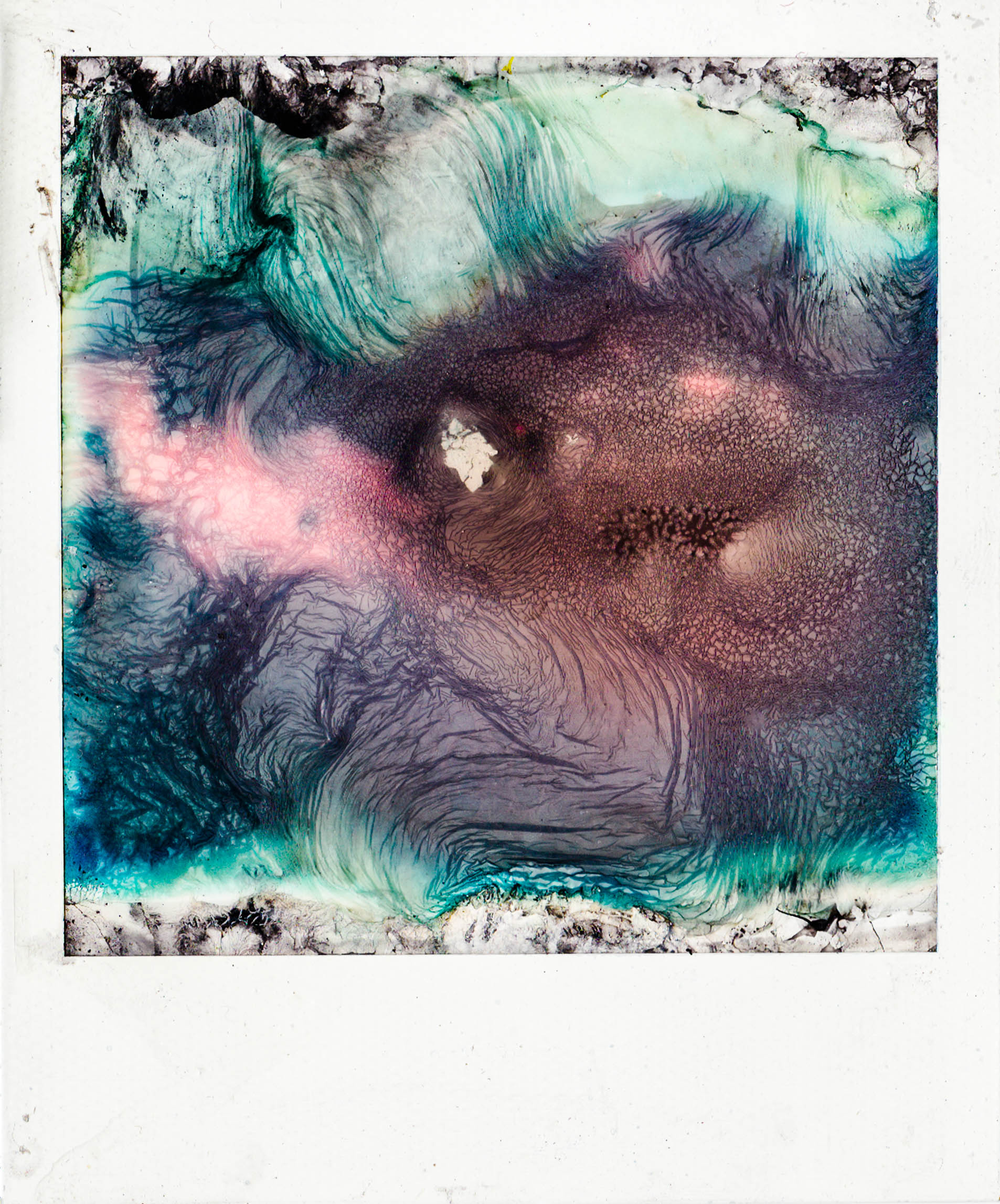 polaroid13 copy.jpg