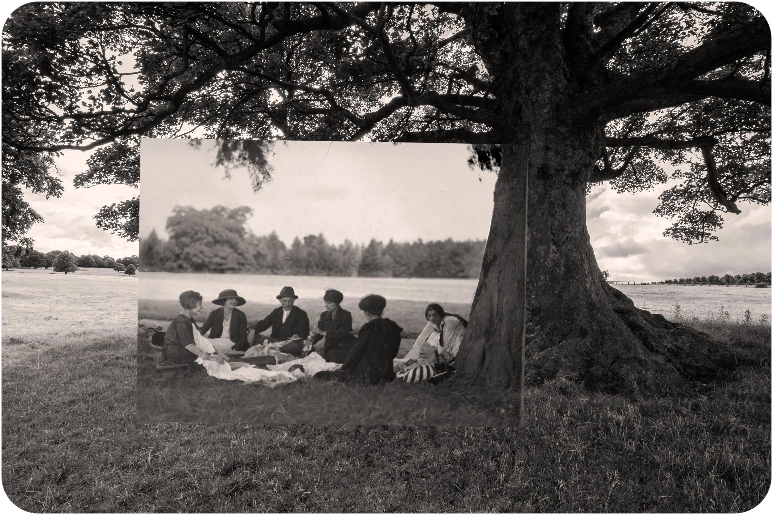 Summer Picnic. Wakefield Park. Yorkshire