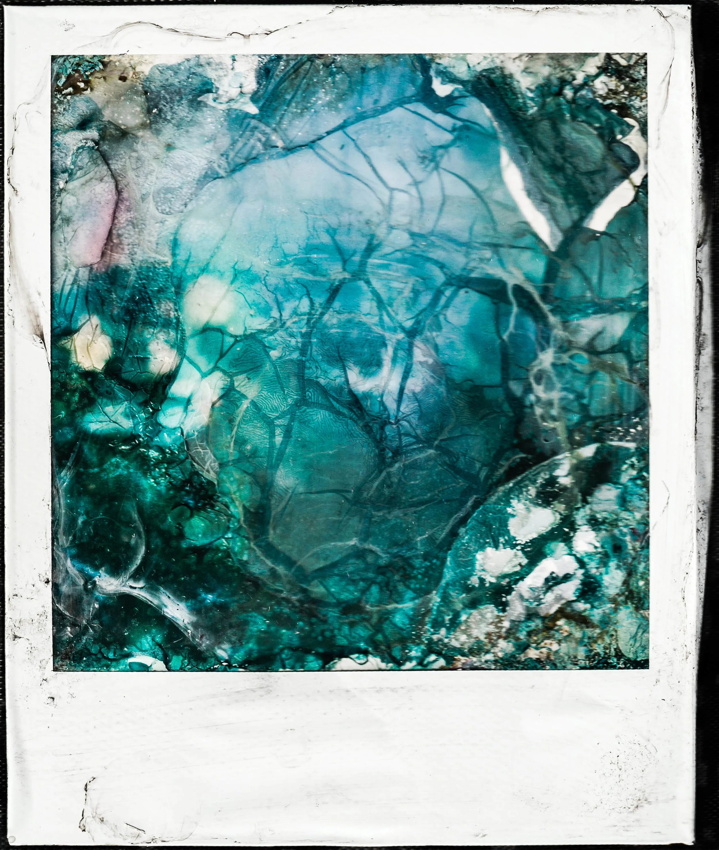 polaroid9b.jpg