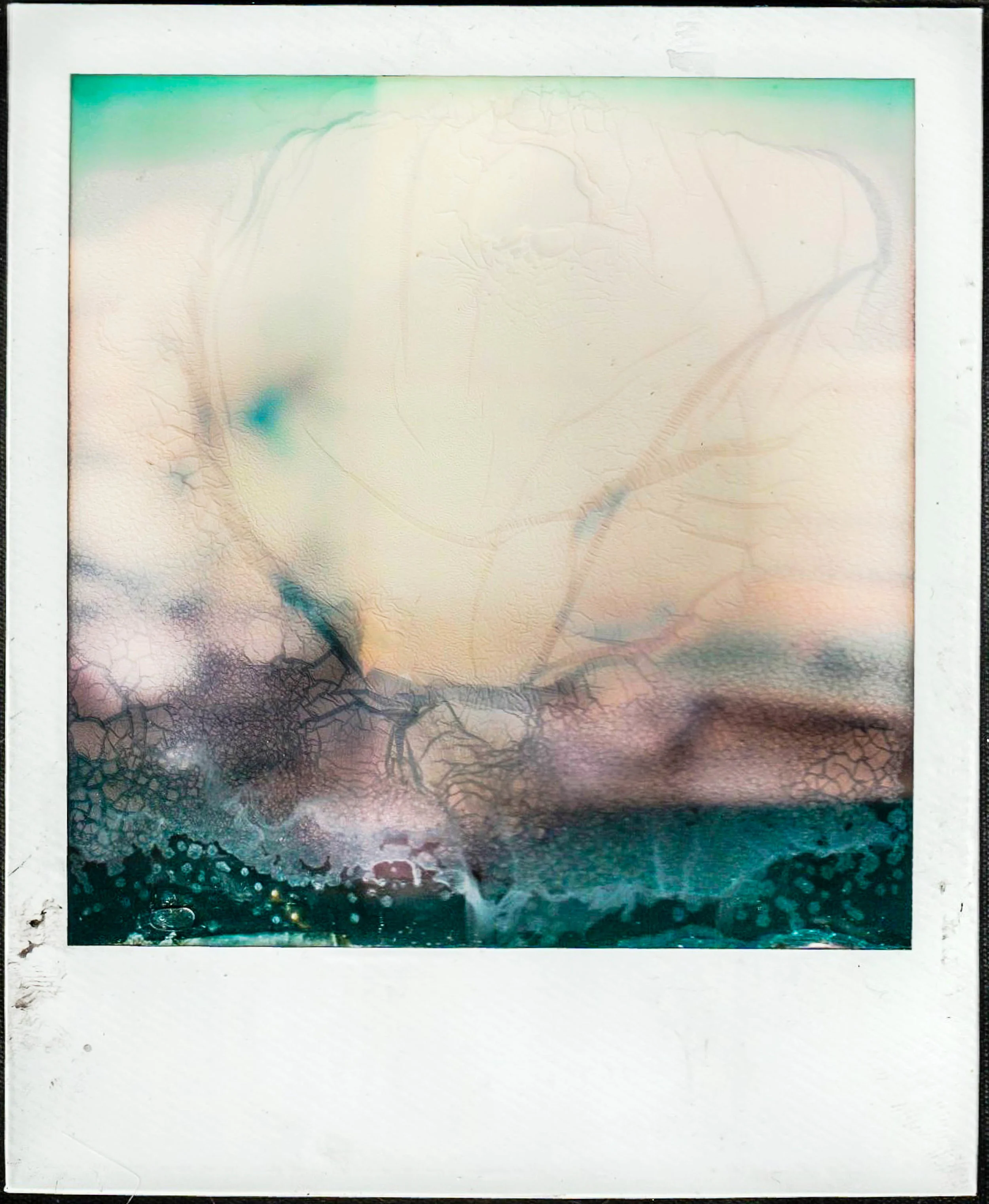 polaroid13 bcopy.jpg