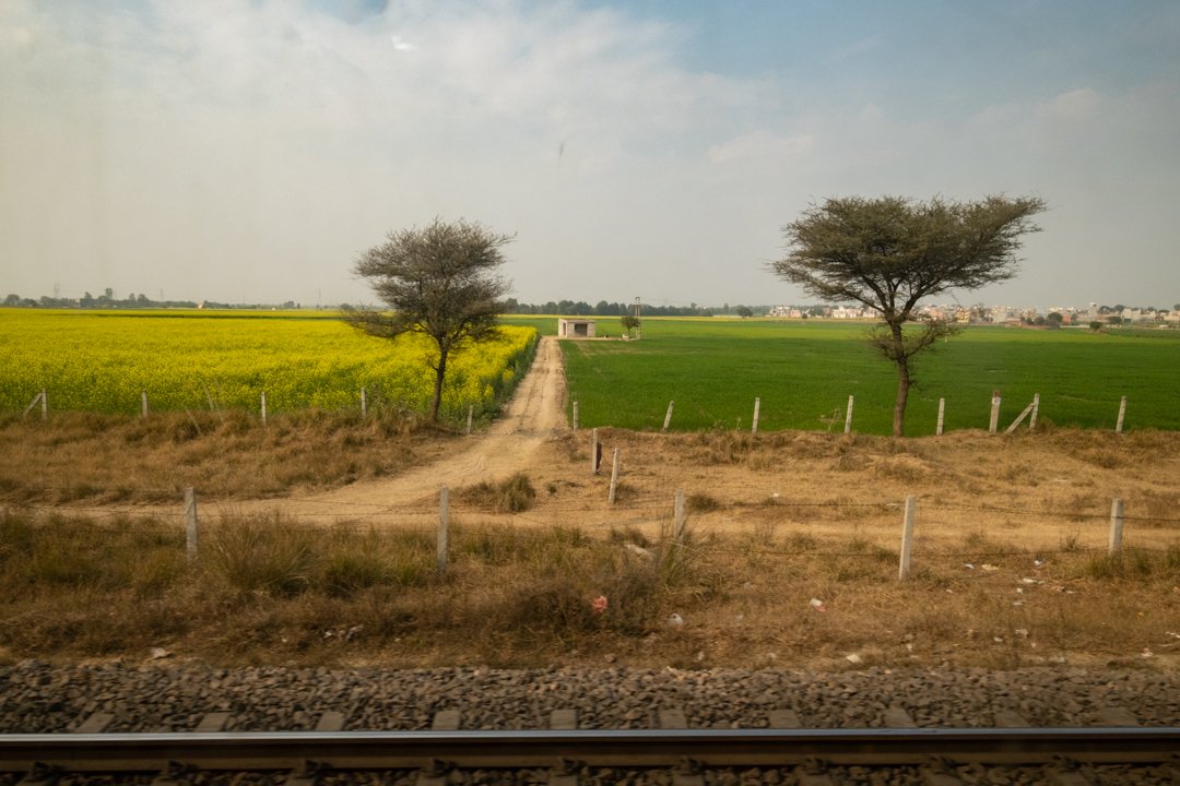 delhi train-19.jpg