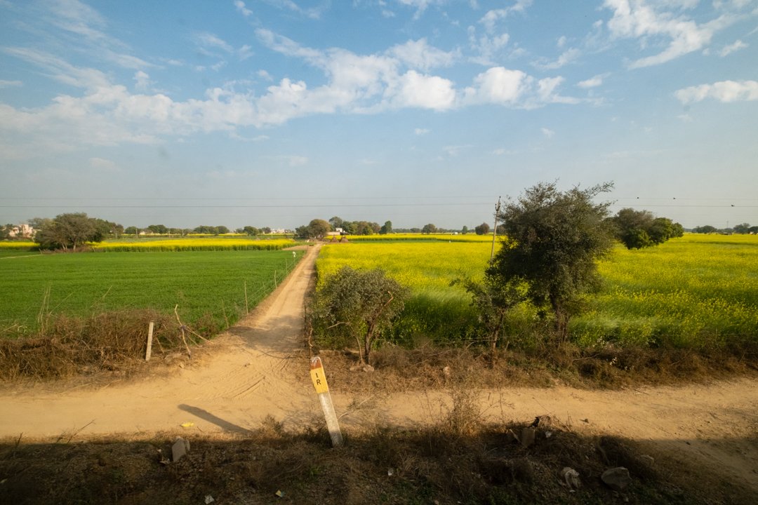 delhi train-21.jpg