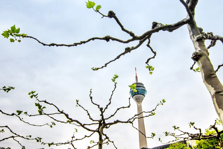 dusseldorf.jpg