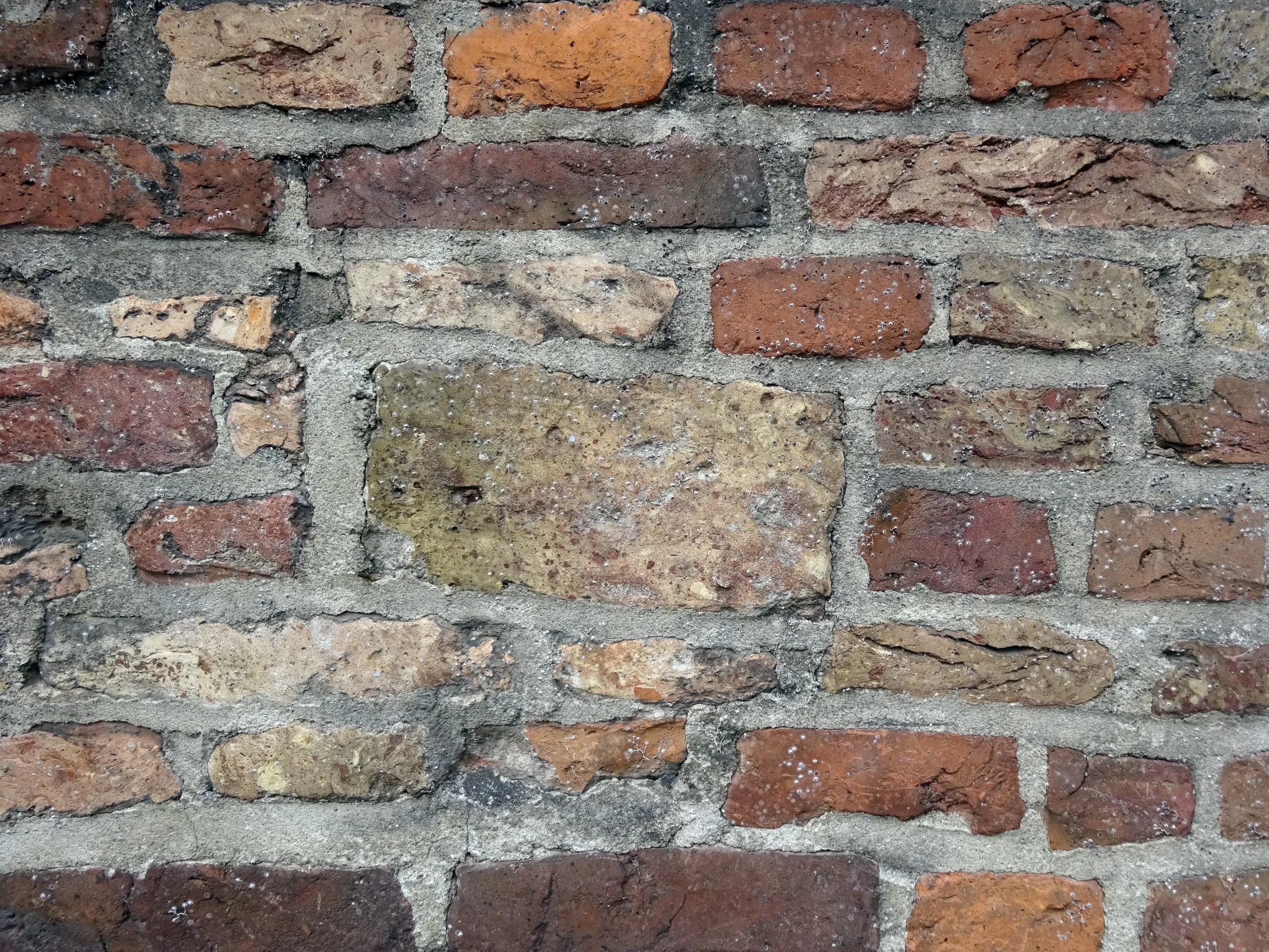 Городки рейнские, нижнерейнские и нидерландские...