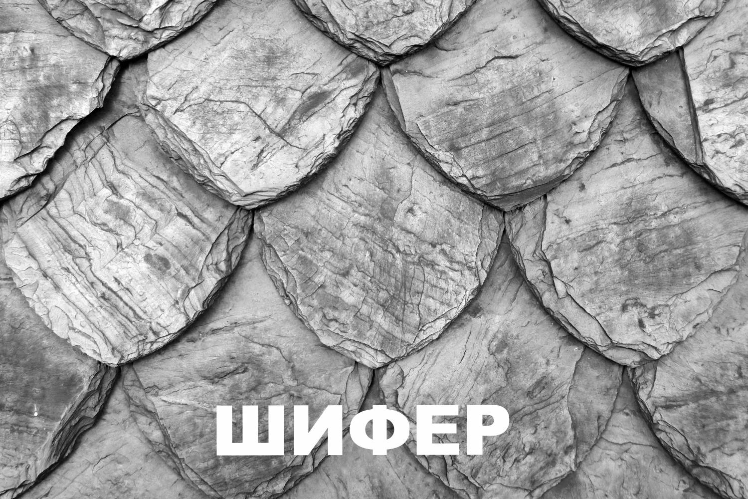 Сувенир специальный, бергский.